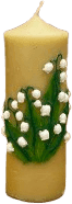 Qiri shtyllë botanike